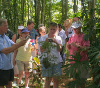 Port Limon Shore Excursions