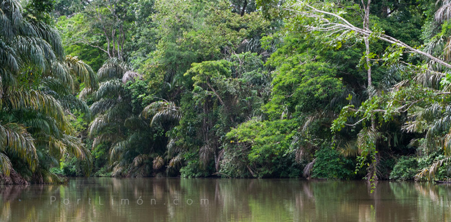 Tortuguero Canals