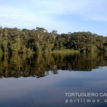 Tortuguero Canal